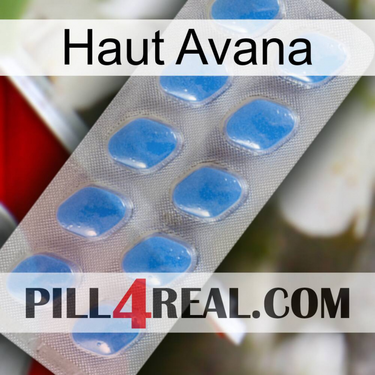 Top Avana 22
